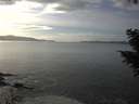 ./images/koeye/fitz-hugh/20201030/fitz-hugh20201030_152502.jpg