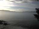 ./images/koeye/fitz-hugh/20201030/fitz-hugh20201030_153002.jpg