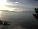 ./images/koeye/fitz-hugh/20201030/fitz-hugh20201030_154501.jpg