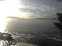 ./images/koeye/fitz-hugh/20201030/fitz-hugh20201030_155501.jpg