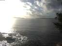 ./images/koeye/fitz-hugh/20201030/fitz-hugh20201030_161501.jpg
