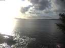 ./images/koeye/fitz-hugh/20201030/fitz-hugh20201030_162501.jpg