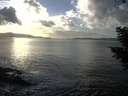 ./images/koeye/fitz-hugh/20201030/fitz-hugh20201030_163002.jpg