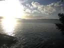 ./images/koeye/fitz-hugh/20201030/fitz-hugh20201030_164001.jpg