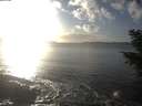 ./images/koeye/fitz-hugh/20201030/fitz-hugh20201030_164501.jpg