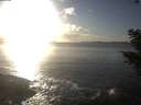 ./images/koeye/fitz-hugh/20201030/fitz-hugh20201030_165001.jpg