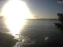 ./images/koeye/fitz-hugh/20201030/fitz-hugh20201030_170502.jpg
