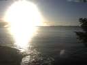./images/koeye/fitz-hugh/20201030/fitz-hugh20201030_171002.jpg