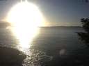 ./images/koeye/fitz-hugh/20201030/fitz-hugh20201030_171502.jpg