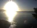 ./images/koeye/fitz-hugh/20201030/fitz-hugh20201030_172002.jpg