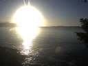 ./images/koeye/fitz-hugh/20201030/fitz-hugh20201030_172502.jpg