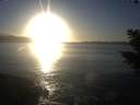./images/koeye/fitz-hugh/20201030/fitz-hugh20201030_173001.jpg