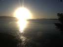 ./images/koeye/fitz-hugh/20201030/fitz-hugh20201030_173501.jpg