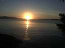 ./images/koeye/fitz-hugh/20201030/fitz-hugh20201030_175501.jpg