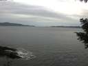 ./images/koeye/fitz-hugh/20201031/fitz-hugh20201031_100001.jpg