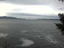 ./images/koeye/fitz-hugh/20201031/fitz-hugh20201031_140002.jpg