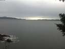 ./images/koeye/fitz-hugh/20201031/fitz-hugh20201031_160001.jpg
