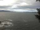 ./images/koeye/fitz-hugh/20201101/fitz-hugh20201101_102501.jpg