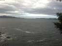 ./images/koeye/fitz-hugh/20201101/fitz-hugh20201101_103001.jpg