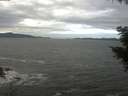 ./images/koeye/fitz-hugh/20201101/fitz-hugh20201101_103501.jpg