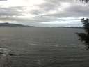 ./images/koeye/fitz-hugh/20201101/fitz-hugh20201101_104001.jpg