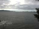 ./images/koeye/fitz-hugh/20201101/fitz-hugh20201101_105501.jpg
