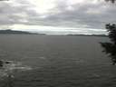 ./images/koeye/fitz-hugh/20201101/fitz-hugh20201101_110501.jpg