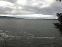 ./images/koeye/fitz-hugh/20201101/fitz-hugh20201101_111501.jpg