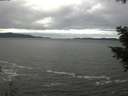./images/koeye/fitz-hugh/20201101/fitz-hugh20201101_112001.jpg