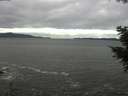./images/koeye/fitz-hugh/20201101/fitz-hugh20201101_112501.jpg