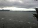 ./images/koeye/fitz-hugh/20201101/fitz-hugh20201101_113002.jpg