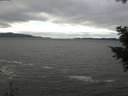 ./images/koeye/fitz-hugh/20201101/fitz-hugh20201101_113502.jpg