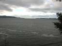 ./images/koeye/fitz-hugh/20201101/fitz-hugh20201101_114002.jpg