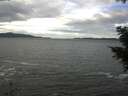 ./images/koeye/fitz-hugh/20201101/fitz-hugh20201101_115002.jpg