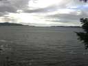 ./images/koeye/fitz-hugh/20201101/fitz-hugh20201101_115502.jpg