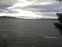./images/koeye/fitz-hugh/20201101/fitz-hugh20201101_120002.jpg