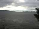 ./images/koeye/fitz-hugh/20201101/fitz-hugh20201101_120501.jpg