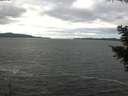 ./images/koeye/fitz-hugh/20201101/fitz-hugh20201101_121002.jpg