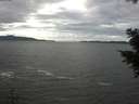 ./images/koeye/fitz-hugh/20201101/fitz-hugh20201101_121502.jpg
