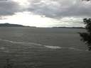 ./images/koeye/fitz-hugh/20201101/fitz-hugh20201101_122502.jpg