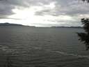 ./images/koeye/fitz-hugh/20201101/fitz-hugh20201101_123002.jpg