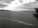 ./images/koeye/fitz-hugh/20201101/fitz-hugh20201101_123502.jpg