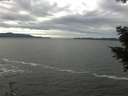./images/koeye/fitz-hugh/20201101/fitz-hugh20201101_124002.jpg