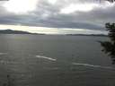 ./images/koeye/fitz-hugh/20201101/fitz-hugh20201101_124502.jpg