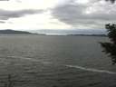 ./images/koeye/fitz-hugh/20201101/fitz-hugh20201101_132501.jpg