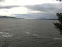 ./images/koeye/fitz-hugh/20201101/fitz-hugh20201101_134001.jpg