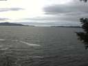 ./images/koeye/fitz-hugh/20201101/fitz-hugh20201101_135001.jpg