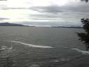 ./images/koeye/fitz-hugh/20201101/fitz-hugh20201101_135501.jpg