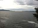 ./images/koeye/fitz-hugh/20201101/fitz-hugh20201101_140001.jpg
