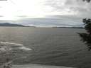 ./images/koeye/fitz-hugh/20201101/fitz-hugh20201101_140501.jpg